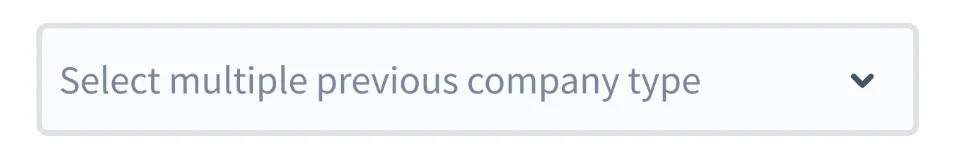 A drop-down whose placeholder reads “Select multiple previous company type”.